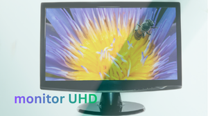 UHD Monitors